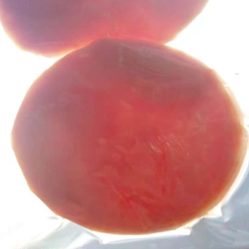 特斯特護色寶產品介紹