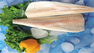 青島特斯特教您如何做出高出品好口感的巴沙魚(yú)