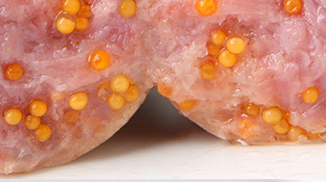 特斯特復(fù)配水分保持劑在爆漿魚籽肉腸中的應(yīng)用