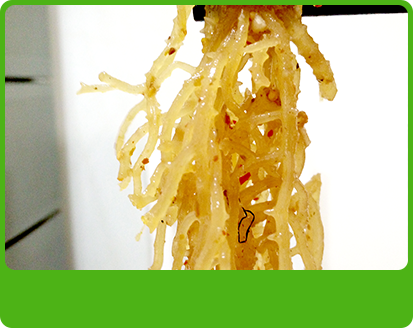 產(chǎn)品特性2