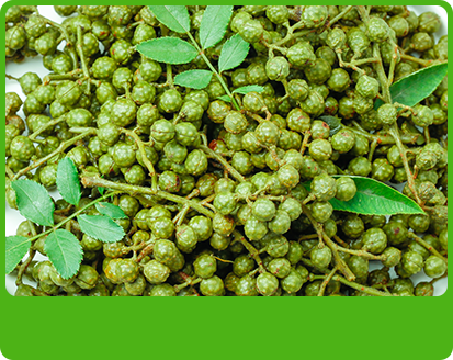 產(chǎn)品特性2